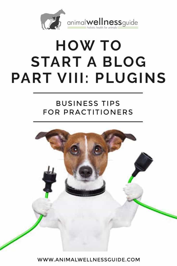 Blogging for Beginners | Starting a Blog Part 8: Plugins for WordPress. Learn about finding, installing and troubleshooting plugins, and the plugins we recommend.