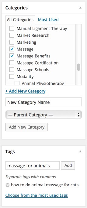 How to start a blog: Posts, Categories and Keywords