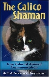The Calico Shaman