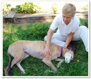 What to do for a pinched nerv