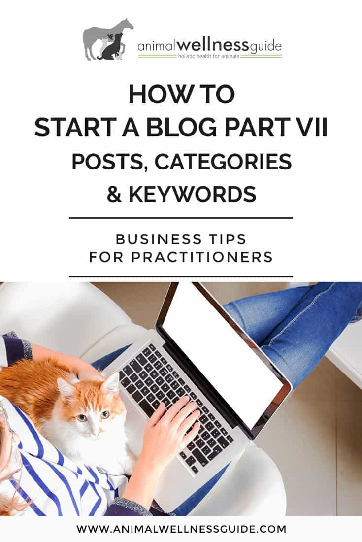 Blogging for Beginners: How to Start A Blog Part 7 - How to write a blog post, using categories, and keyword research