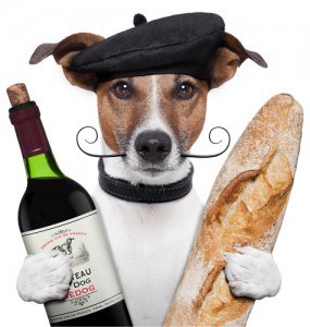 Veterinary nutrition