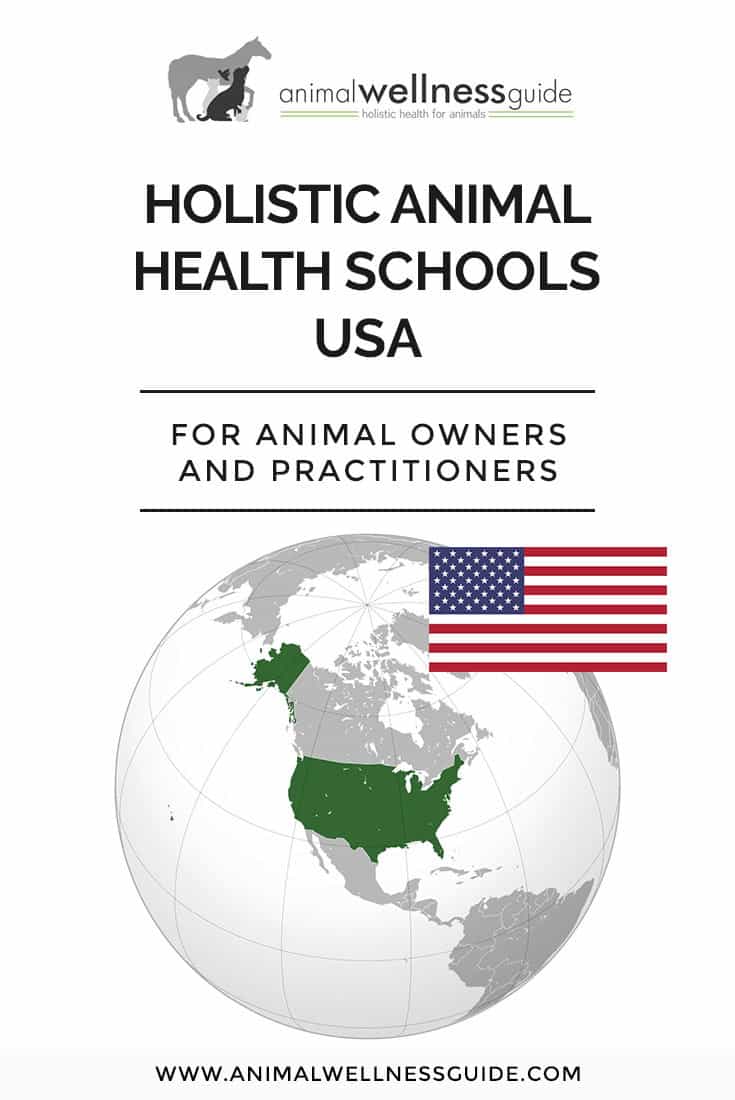 Interested in a holistic animal health career in the US? Check out our list of schools that teach a variety of integrative health therapies for animals (we have school lists for Canada, UK, Australia, New Zealand and Europe too!) 