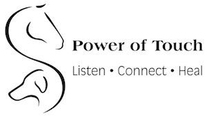 Power of Touch for Animals