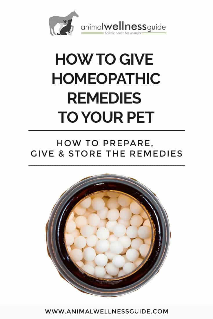 Tips on how to prepare, store, and give homeopathic remedies to animals (and what you can use to help injured or stunned birds)