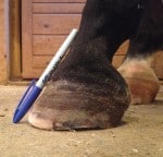 Lu Garnas profile picture