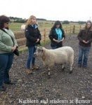 SARA Animal Reiki Training in England September 5-8