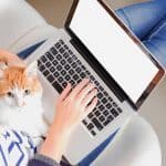 How to Start A Blog: Posts, Categories and Keywords by Animal Wellness Guide