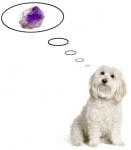 Crystal Therapy Q&A – Learning Crystal Therapy, How To Use Healing Crystals, And More