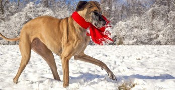 6 Easy Ways to Make the Holidays More Mindful